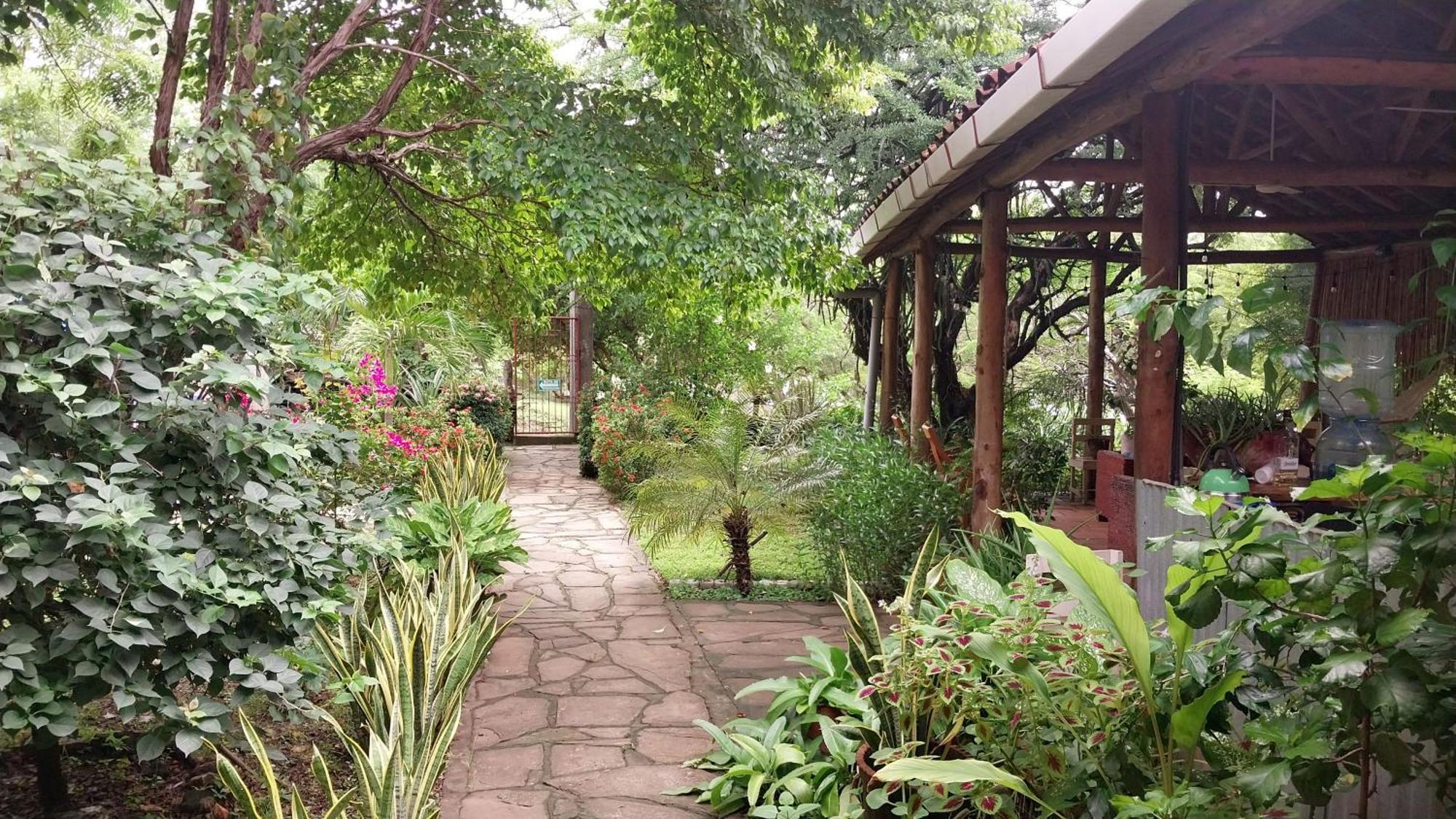 Casa Todo Bueno Bed & Breakfast Transito Exterior photo